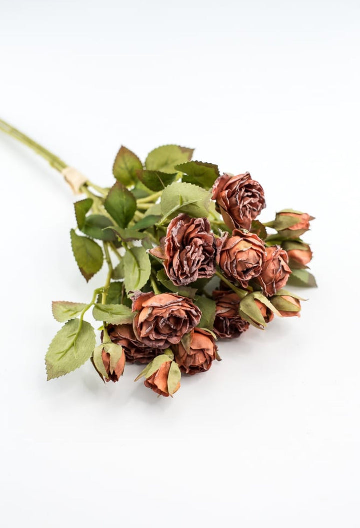 Rusty Brown Mini Rose Bundle - Greenery Market27930
