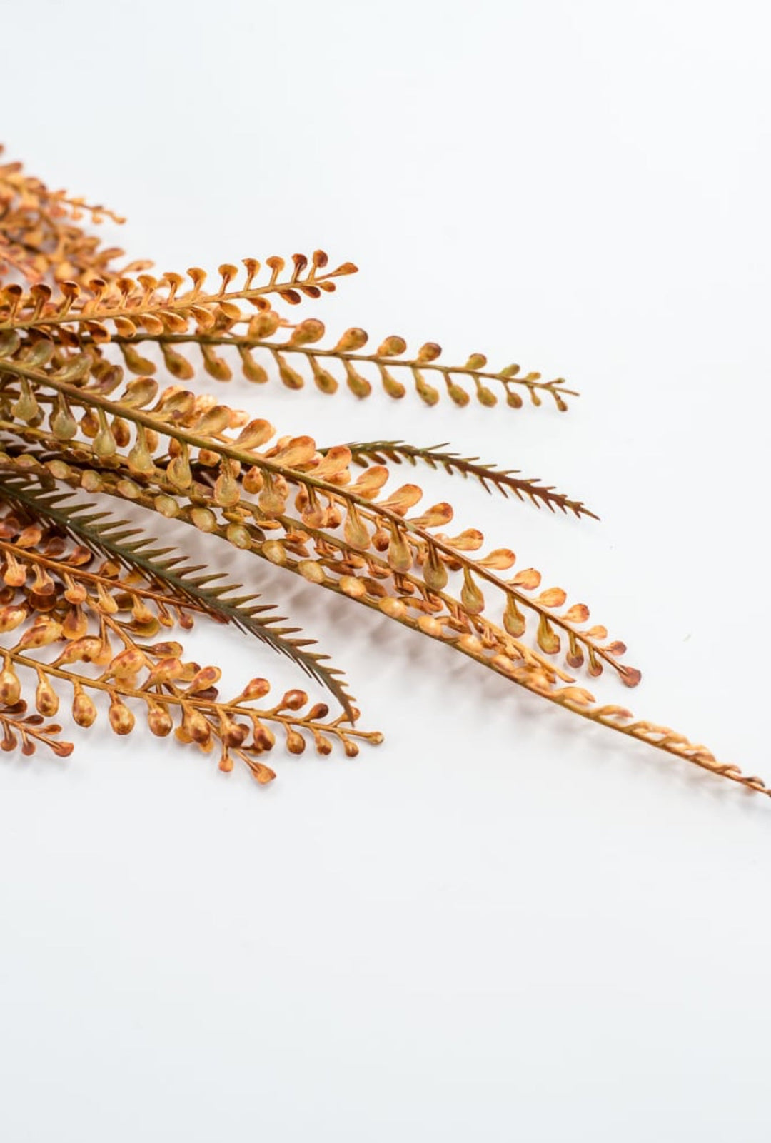 Rusty Orange Leaves Hanging Bush - Greenery Market57311OR