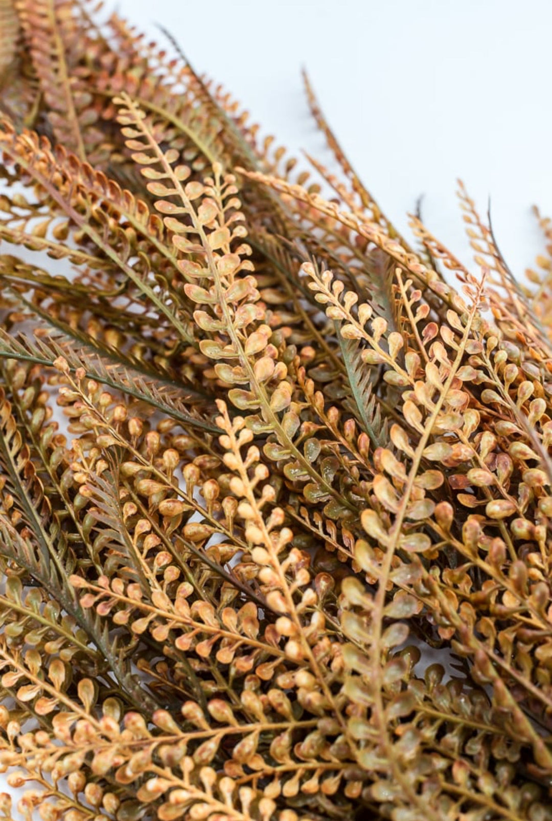 Rusty Orange Leaves Hanging Bush - Greenery Market57311OR
