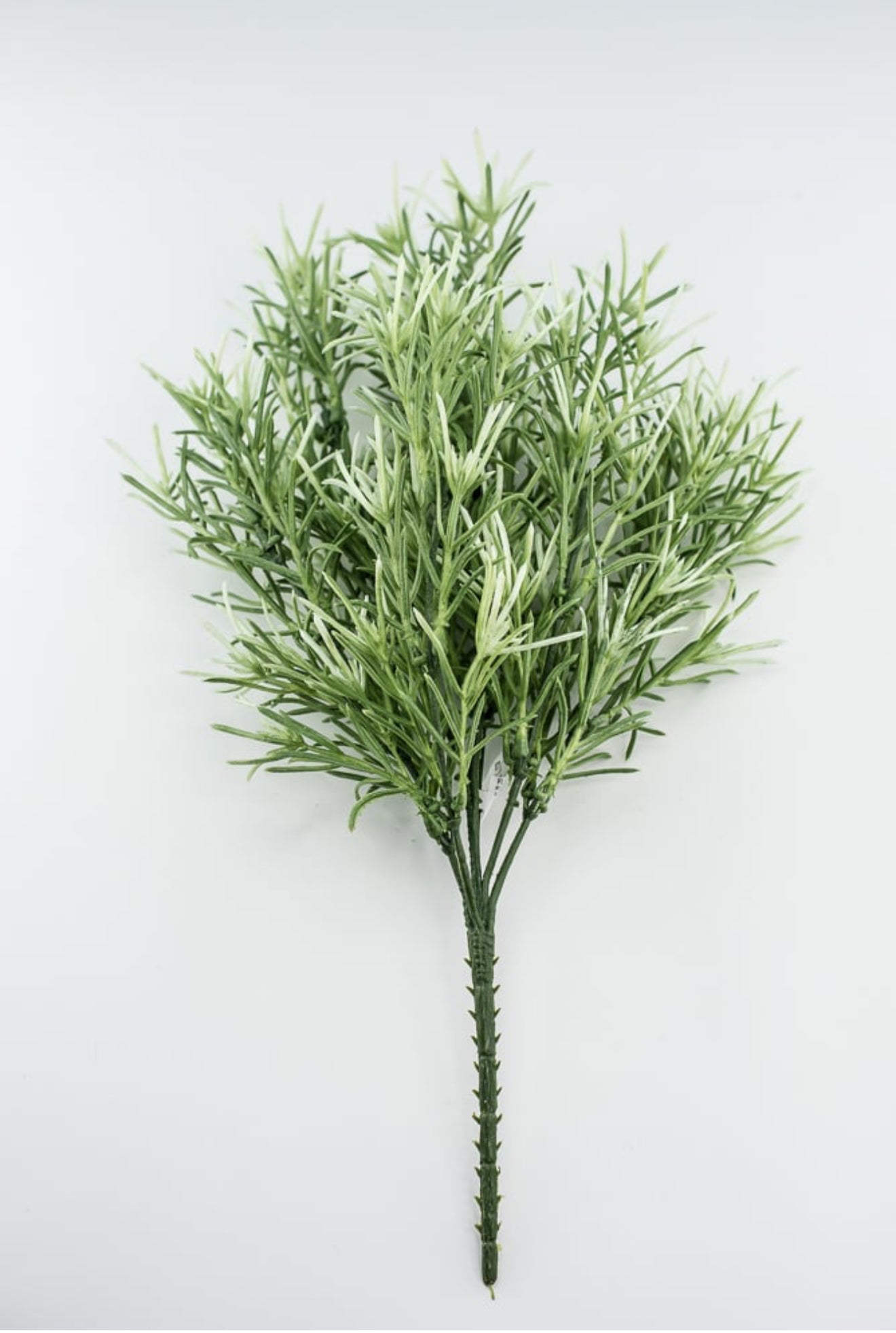 Sage Green Rosemary Greenery bush - Greenery Market