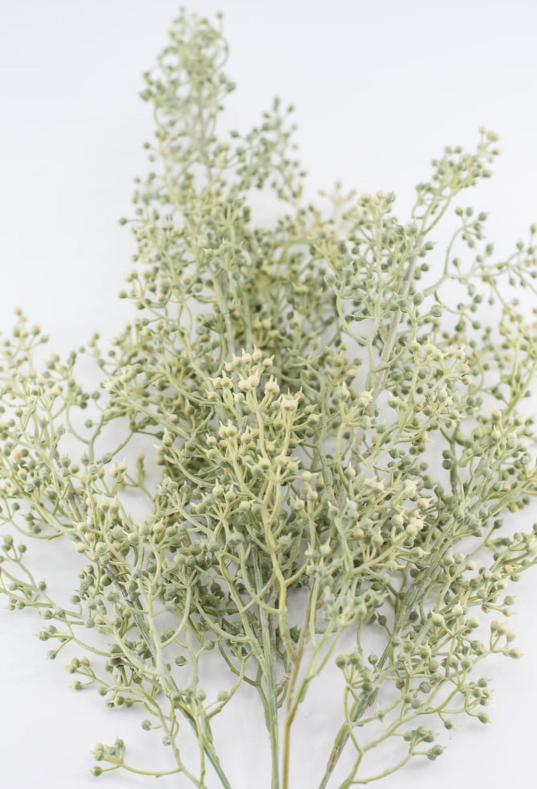 Sage green Seeded Greenery bush - Greenery MarketgreeneryFS369133