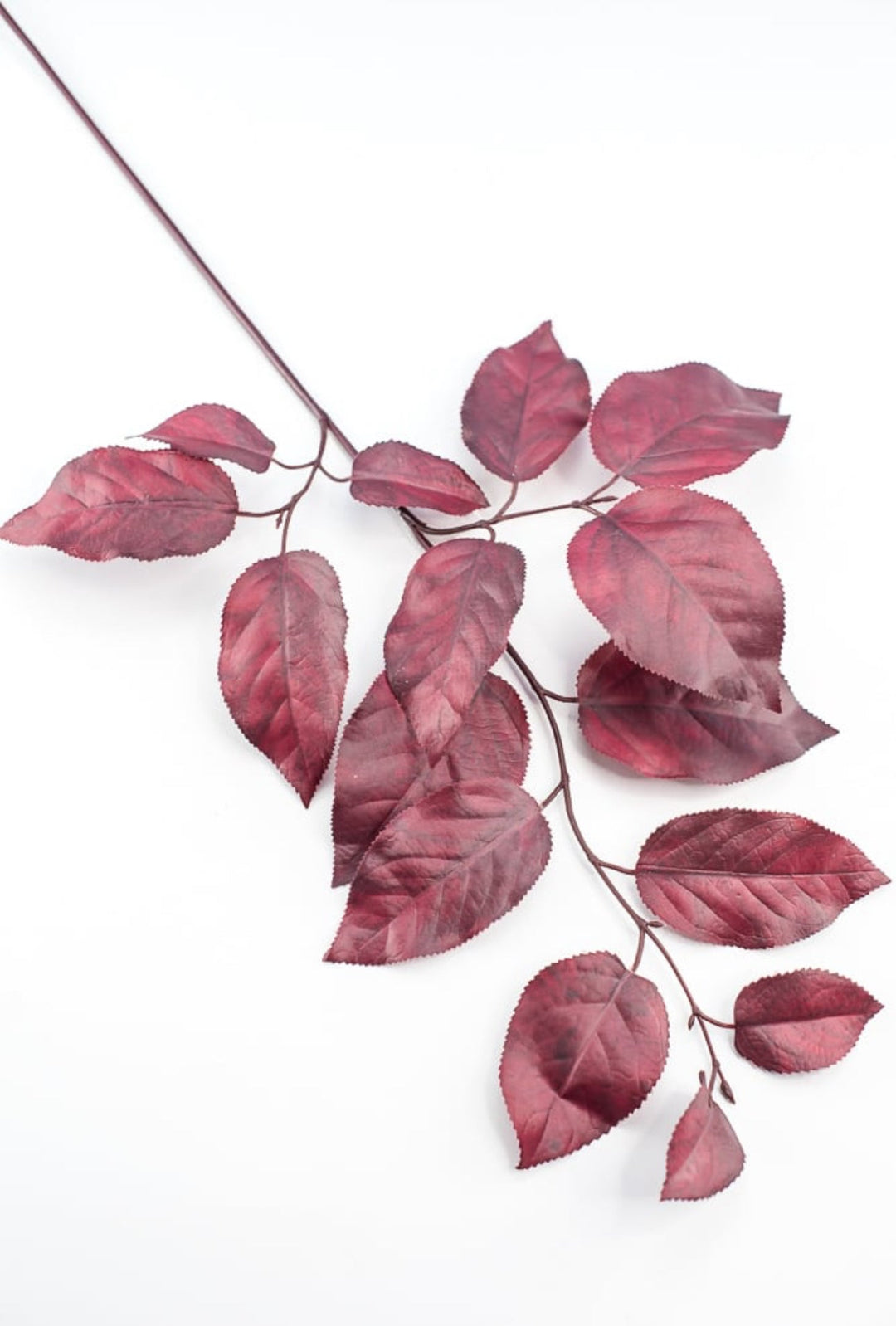 Salal leaves spray - burgundy - Greenery Market215500