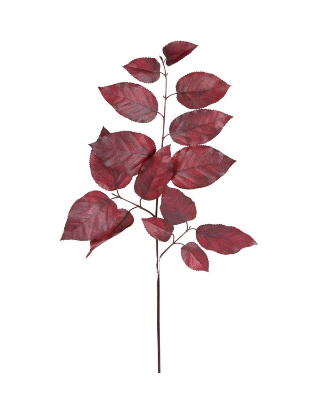 Salal leaves spray - burgundy - Greenery Market215500