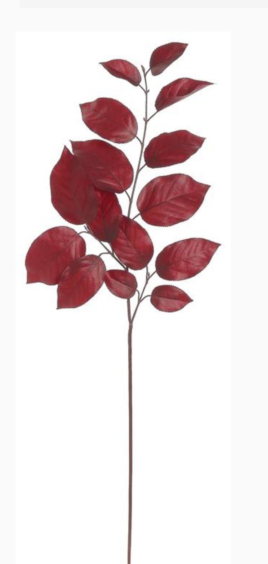 Salal leaves spray - burgundy - Greenery MarketFL5716 - BU