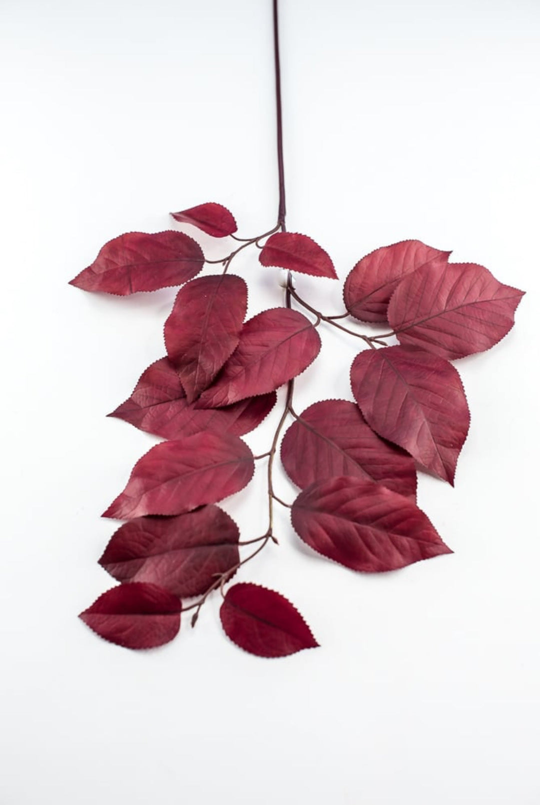 Salal leaves spray - burgundy - Greenery MarketFL5716 - BU