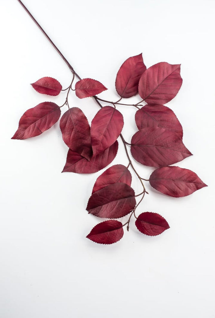 Salal leaves spray - burgundy - Greenery MarketFL5716 - BU