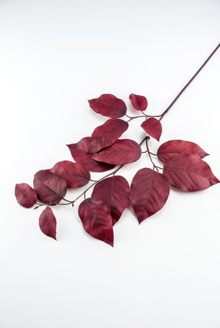 Salal leaves spray - burgundy - Greenery MarketFL5716 - BU