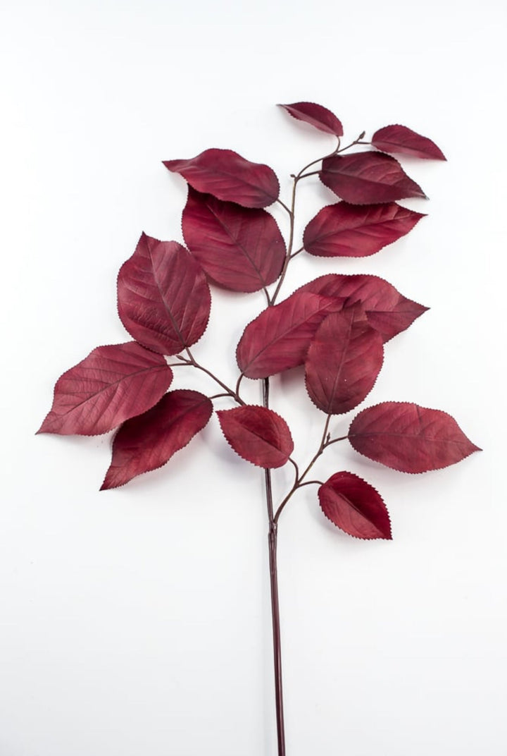 Salal leaves spray - burgundy - Greenery MarketFL5716 - BU