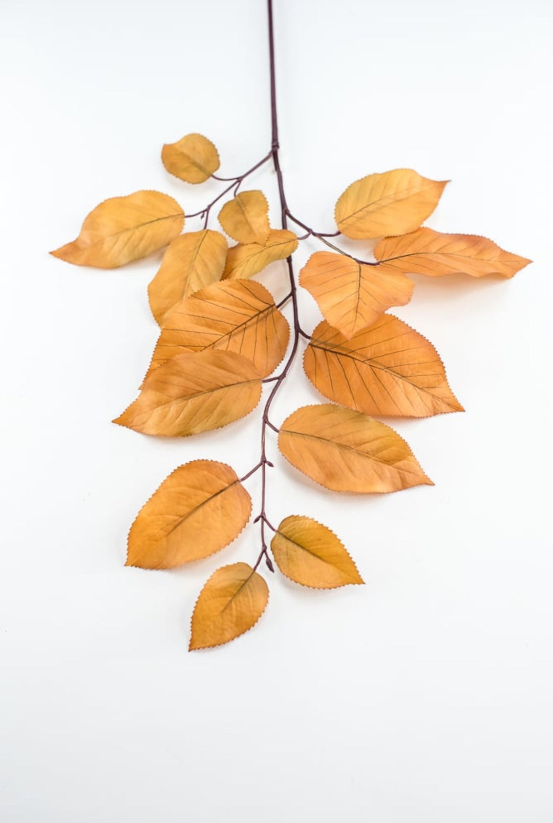 Salal leaves spray - caramel - Greenery MarketFL5716 - CAR