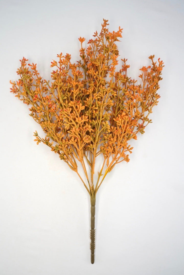 Seed bush - Mustard Orange - Greenery Marketgreenery57095GDYW
