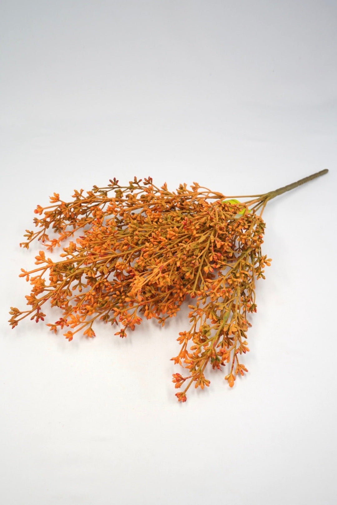 Seed bush - Mustard Orange - Greenery Marketgreenery57095GDYW