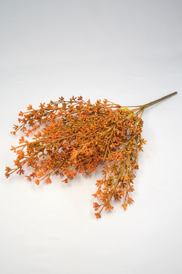 Seed bush - Mustard Orange - Greenery Marketgreenery57095GDYW
