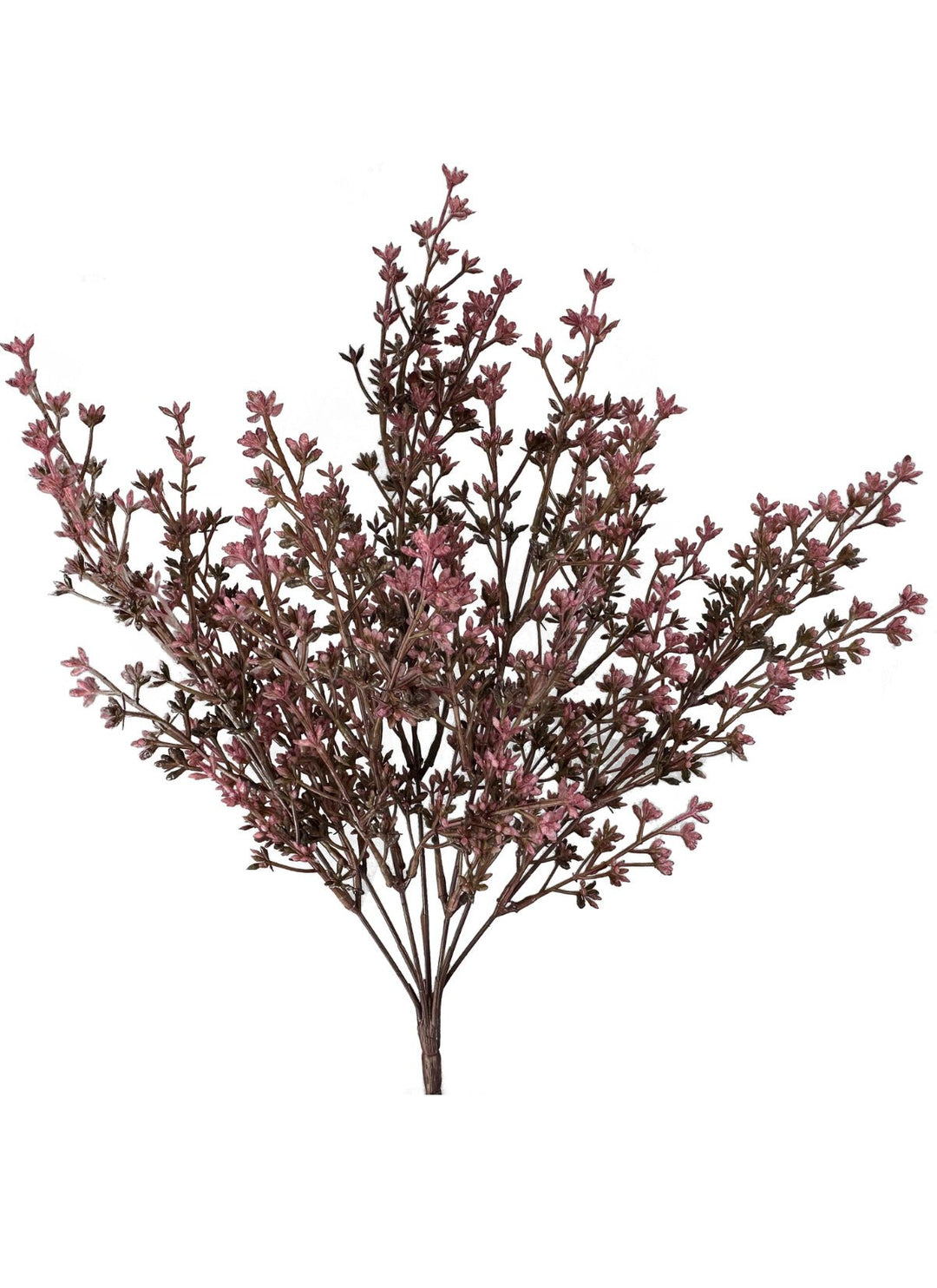 Seed bush - plum - Greenery Marketgreenery57095PU