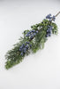 Seeding juniper cedar spray with blue berries - Greenery MarketgreeneryXP2161-GB