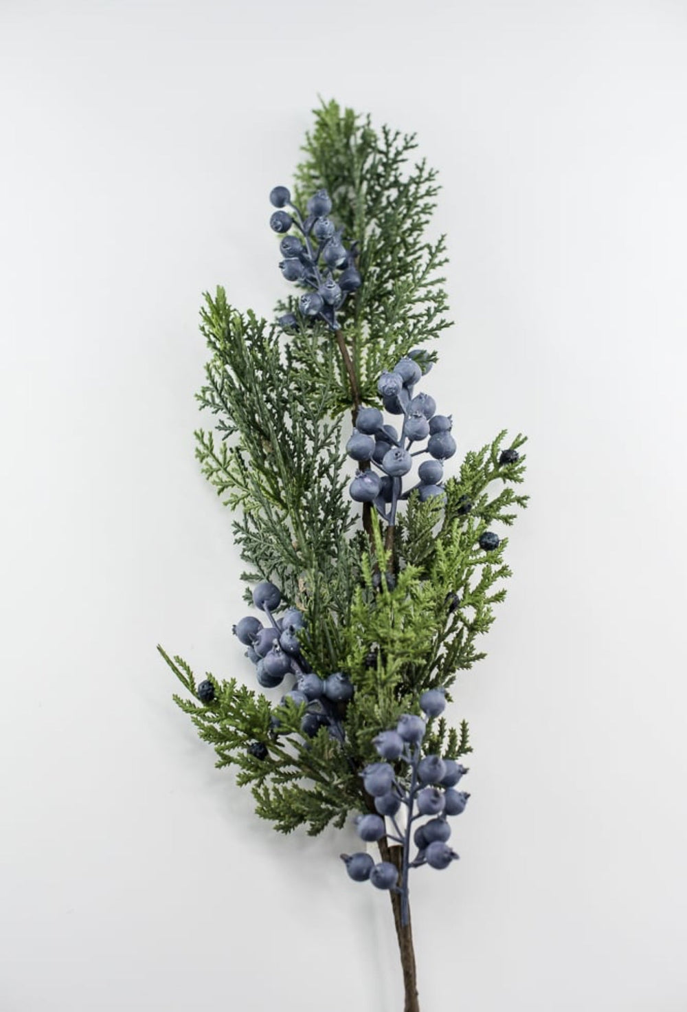 Seeding juniper cedar spray with blue berries - Greenery MarketgreeneryXP2161-GB