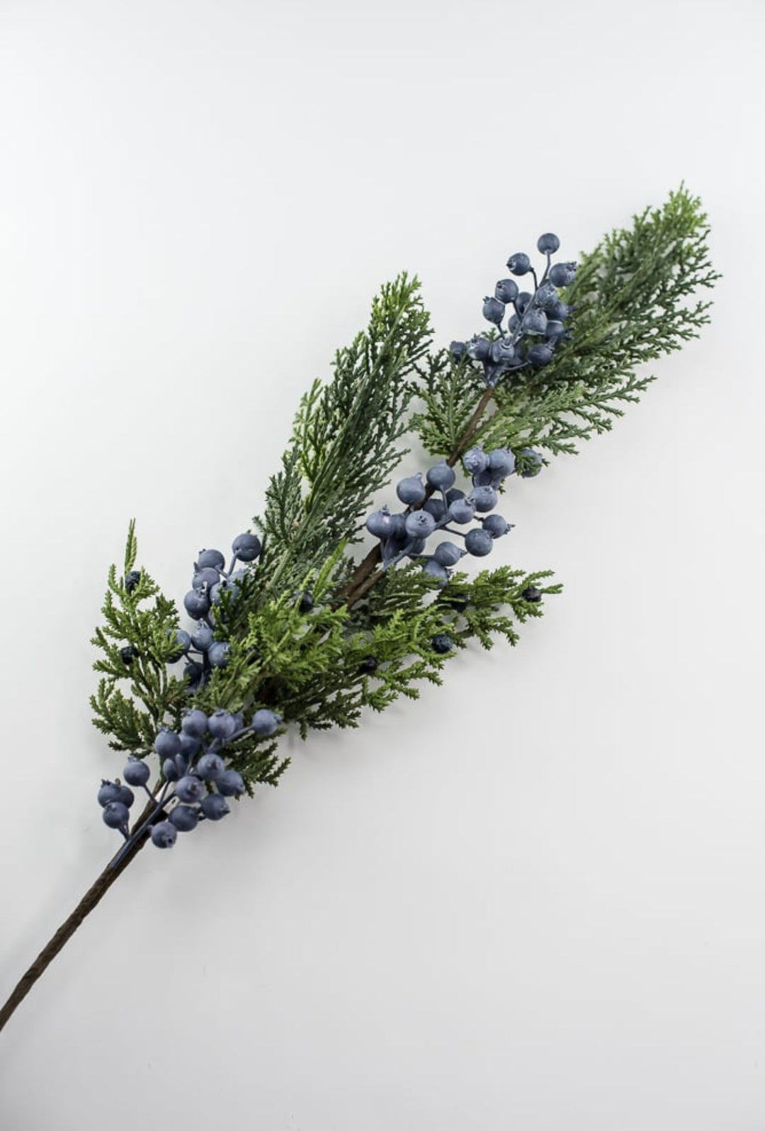 Seeding juniper cedar spray with blue berries - Greenery MarketgreeneryXP2161-GB