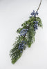 Seeding juniper cedar spray with blue berries - Greenery MarketgreeneryXP2161-GB