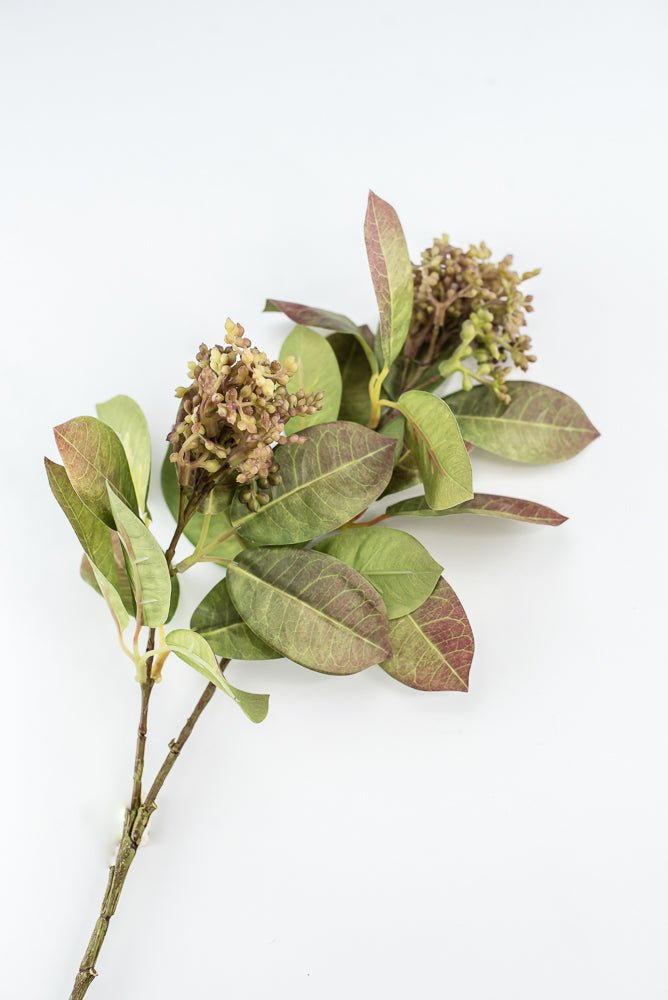 Seeding leaf spray greenery - Greenery Marketgreenery2110139gb