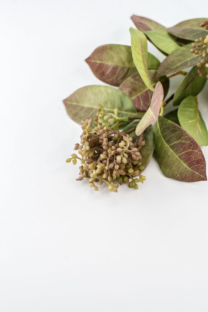 Seeding leaf spray greenery - Greenery Marketgreenery2110139gb