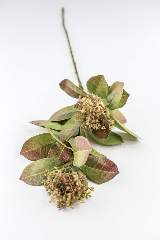 Seeding leaf spray greenery - Greenery Marketgreenery2110139gb