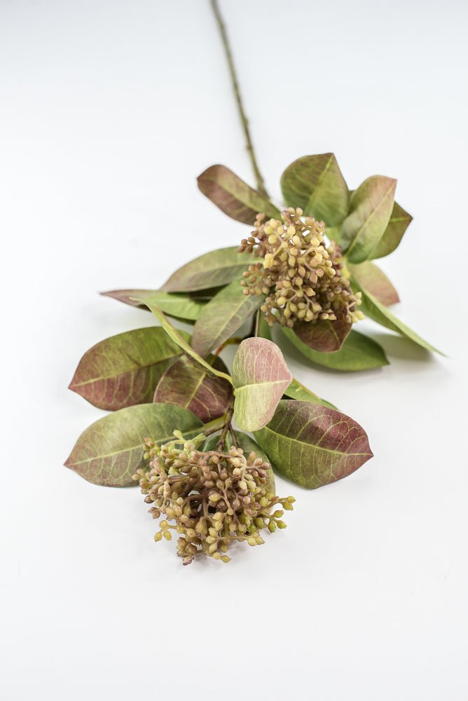 Seeding leaf spray greenery - Greenery Marketgreenery2110139gb