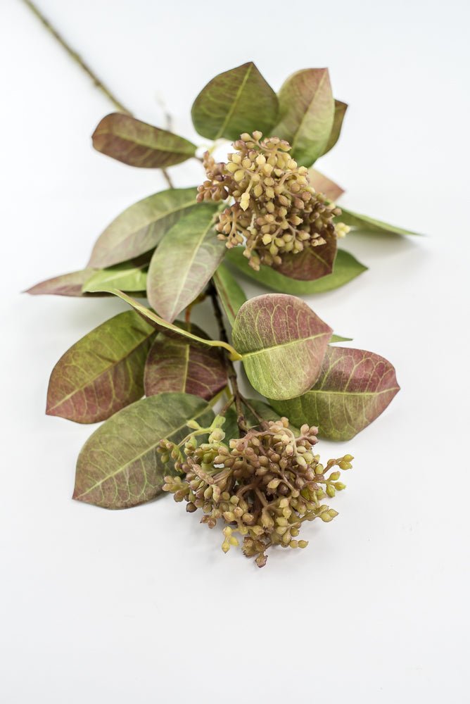 Seeding leaf spray greenery - Greenery Marketgreenery2110139gb