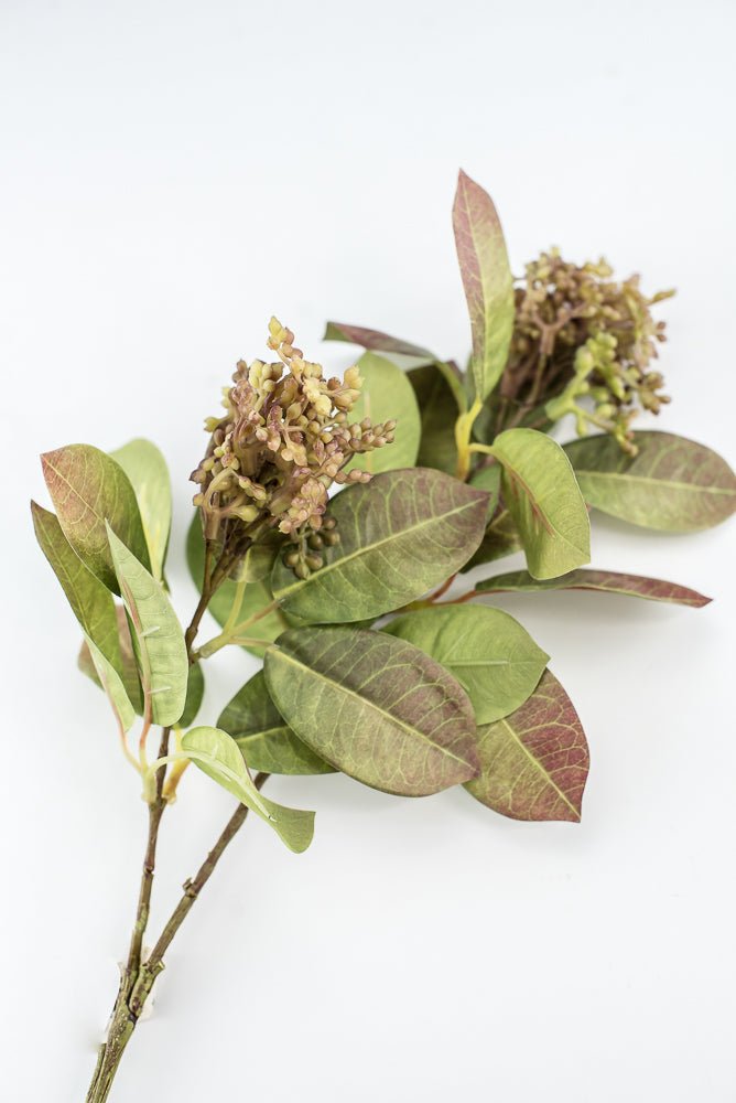 Seeding leaf spray greenery - Greenery Marketgreenery2110139gb