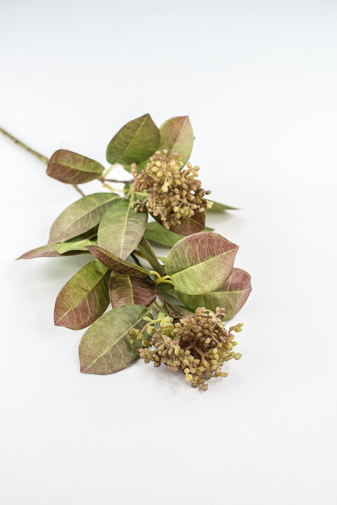 Seeding leaf spray greenery - Greenery Marketgreenery2110139gb