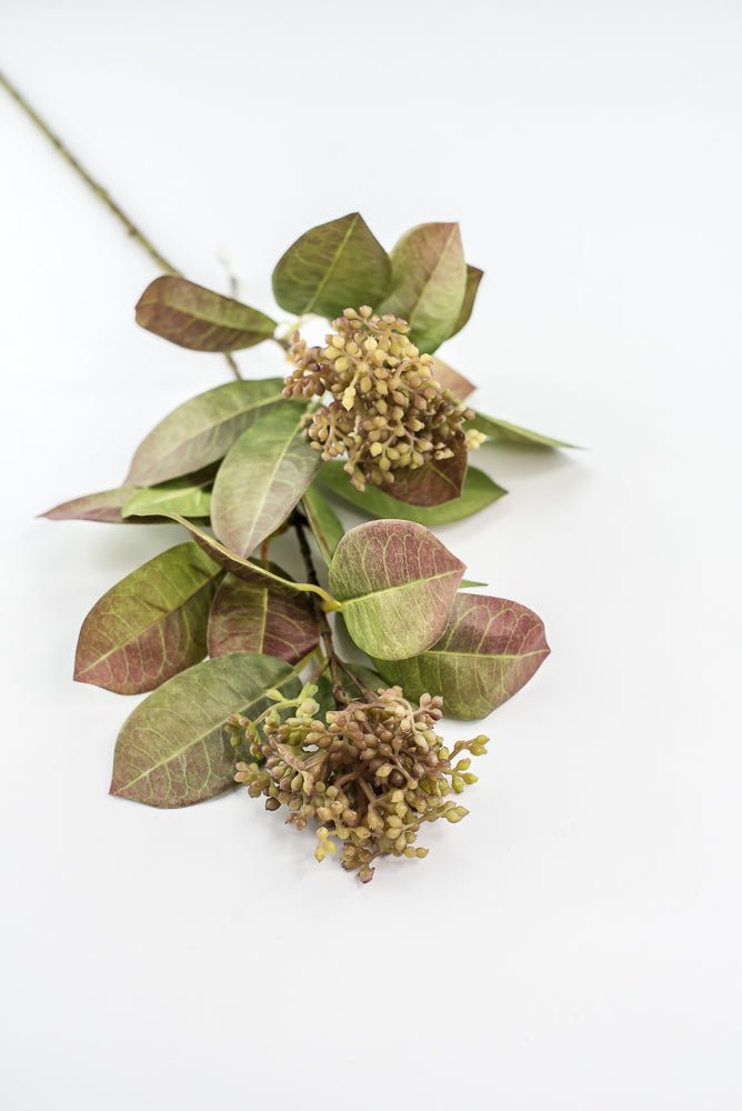 Seeding leaf spray greenery - Greenery Marketgreenery2110139gb