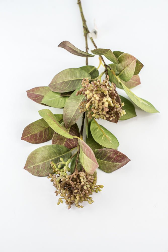 Seeding leaf spray greenery - Greenery Marketgreenery2110139gb