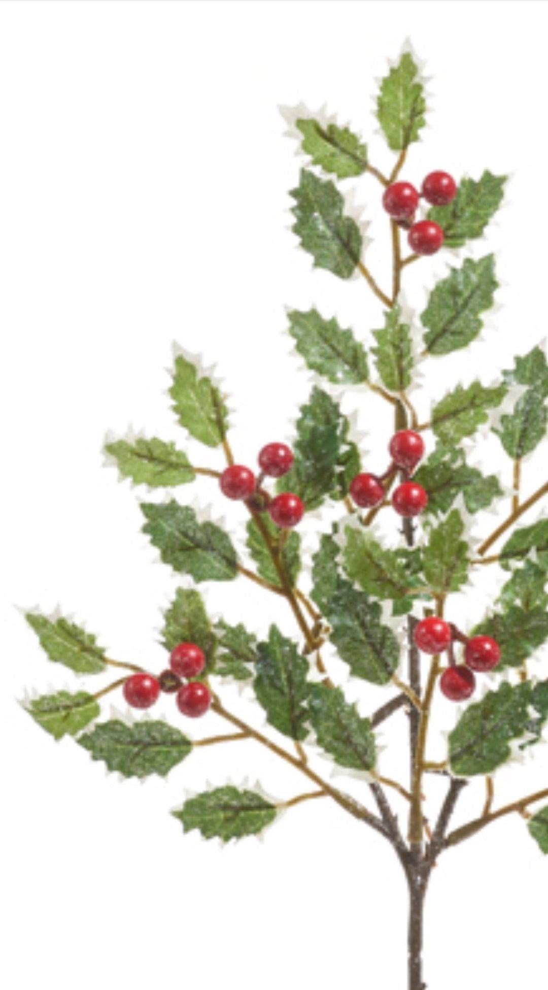 Shimmering Holly pick - varigated - Greenery MarketArtificial FloraF4402456