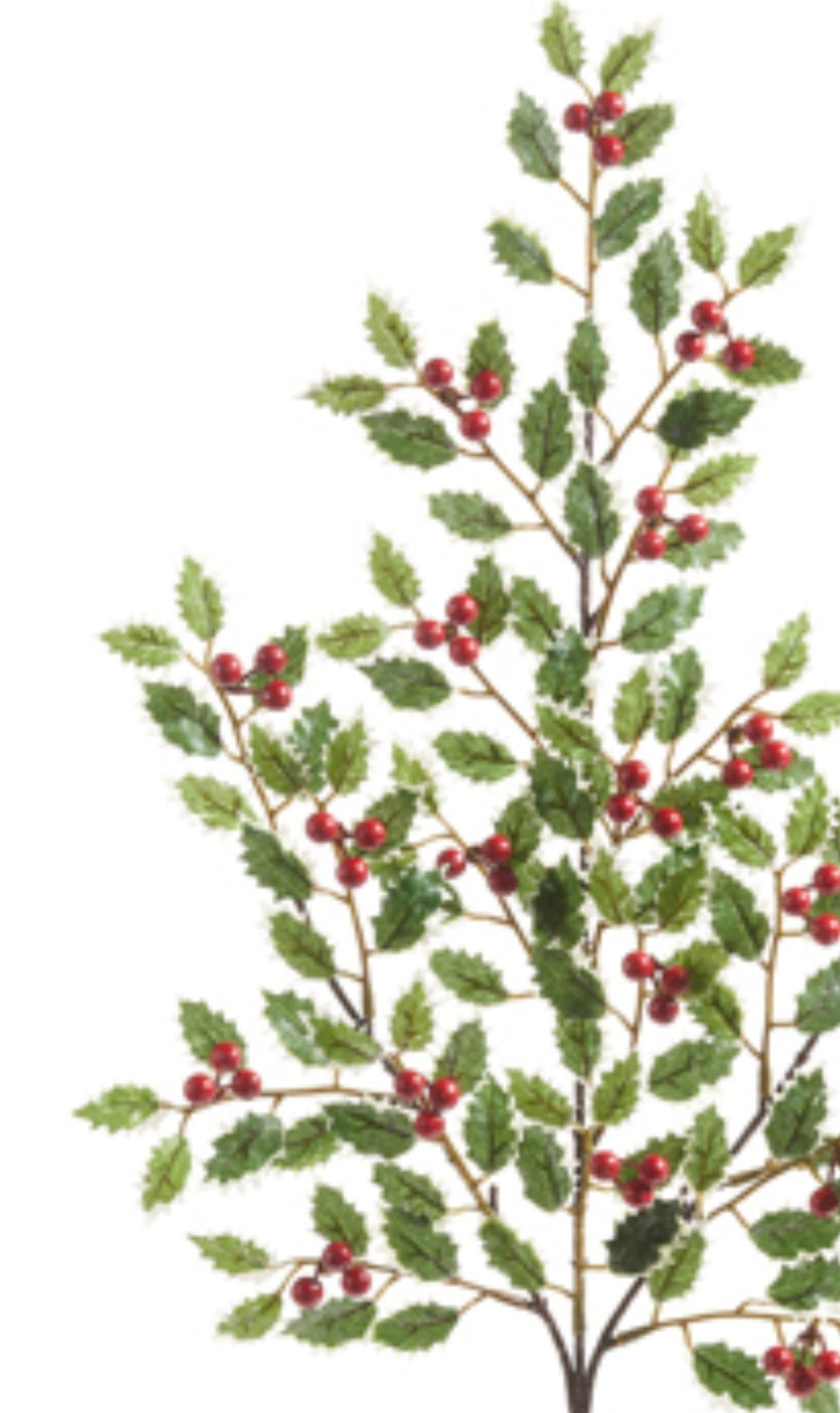 Shimmering Holly spray - varigated - Greenery MarketArtificial FloraF4402454