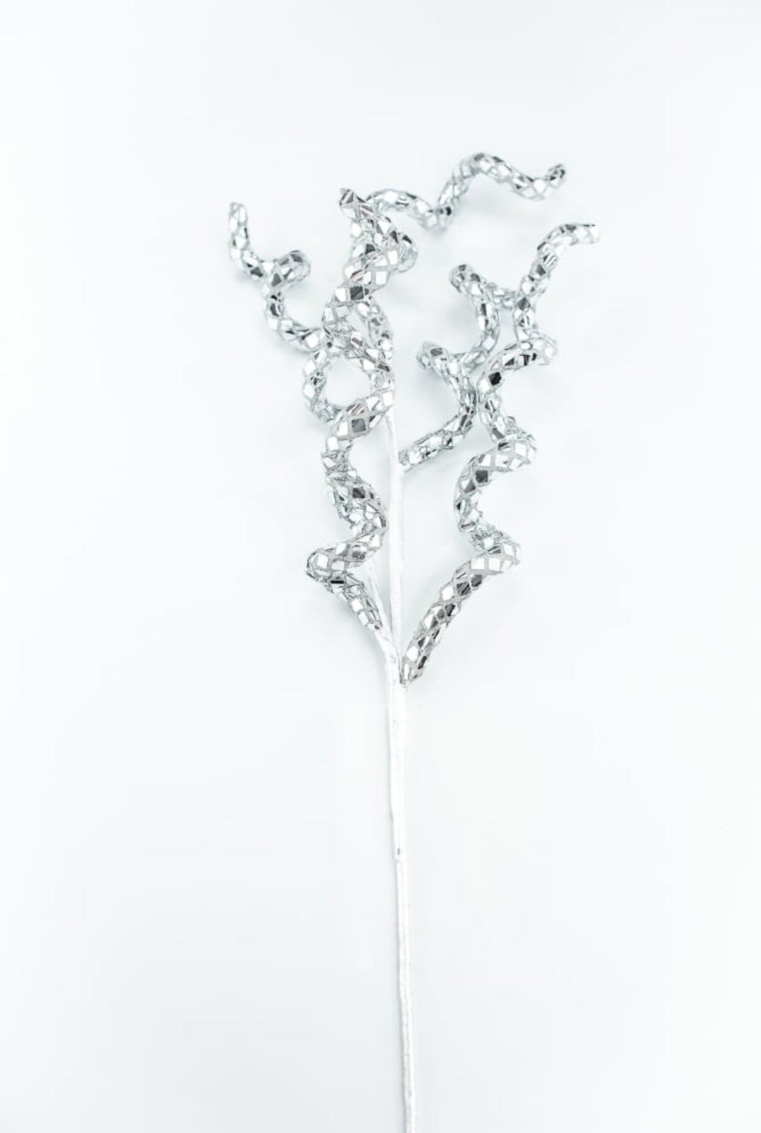 Silver Disco Curly Spray - Greenery Market86271SV