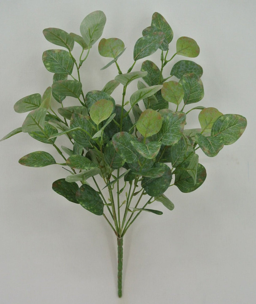 Silver dollar eucalyptus bush - soft green - Greenery Market84807 - FROSTED