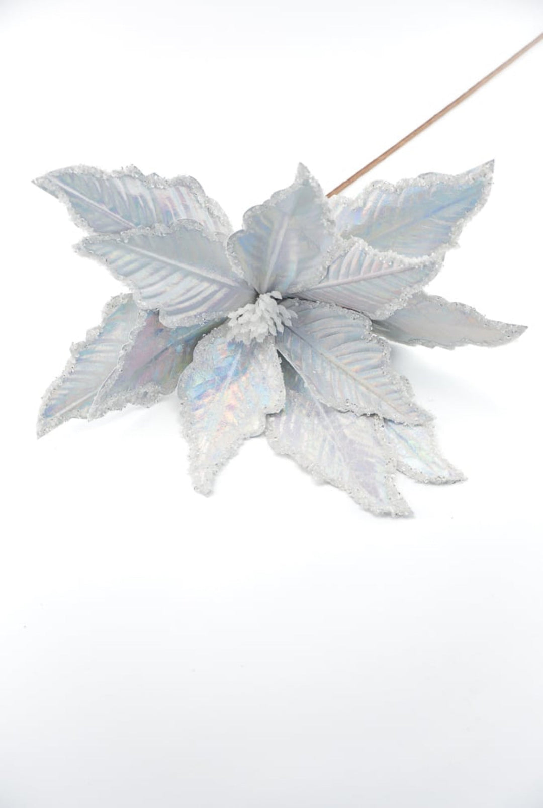 Silver iridescent poinsettia stem - Greenery MarketWinter and ChristmasXs402026