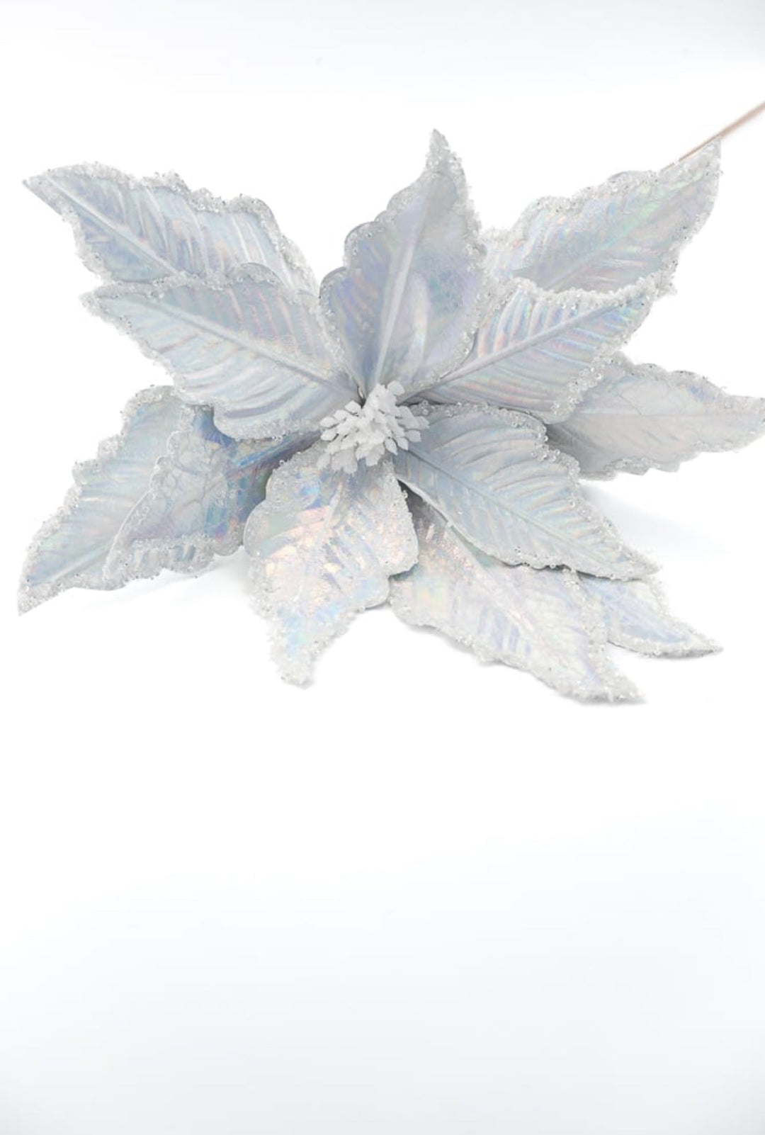 Silver iridescent poinsettia stem - Greenery MarketWinter and ChristmasXs402026