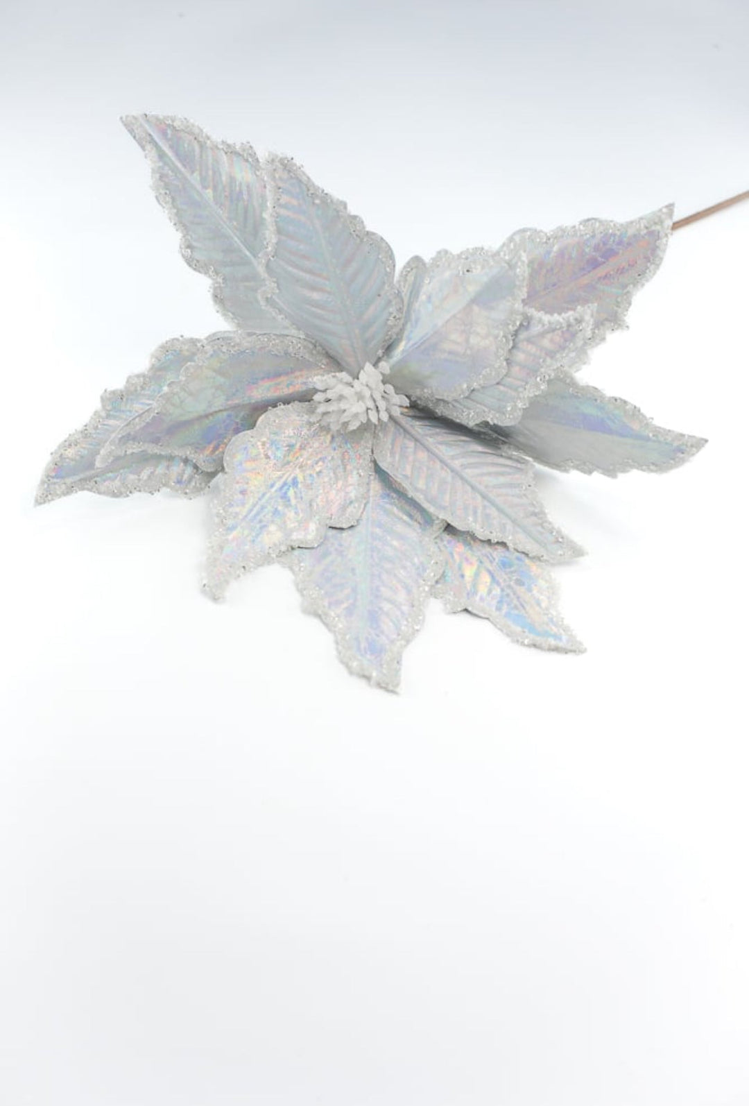 Silver iridescent poinsettia stem - Greenery MarketWinter and ChristmasXs402026