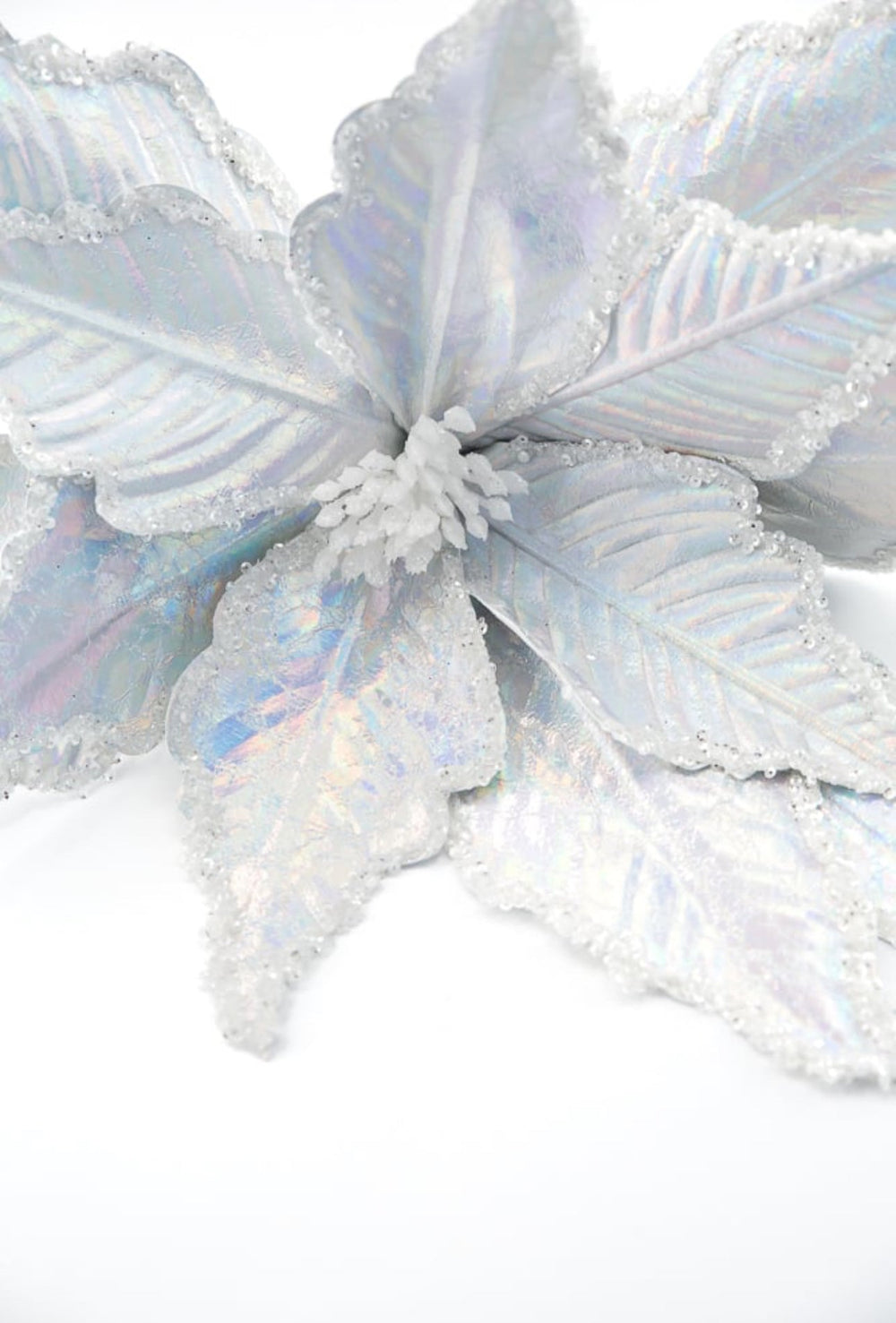 Silver iridescent poinsettia stem - Greenery MarketWinter and ChristmasXs402026