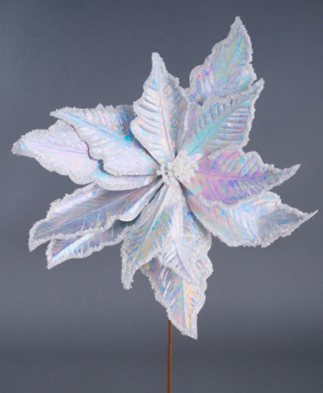 Silver iridescent poinsettia stem - Greenery MarketWinter and ChristmasXs402026