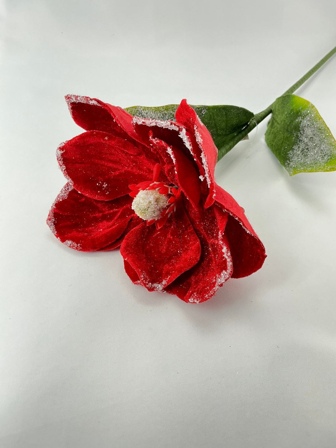 Snow edge, red velvet magnolia stem - Greenery MarketMTX74463 RED