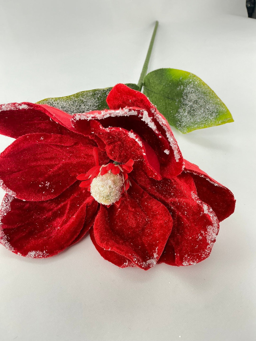 Snow edge, red velvet magnolia stem - Greenery MarketMTX74463 RED