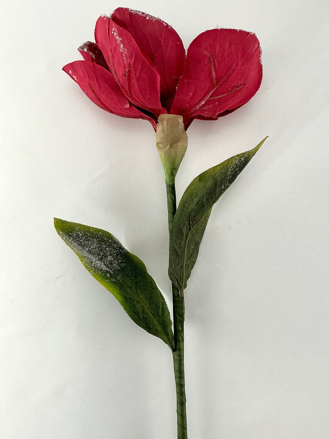 Snow edge, red velvet magnolia stem - Greenery MarketMTX74463 RED