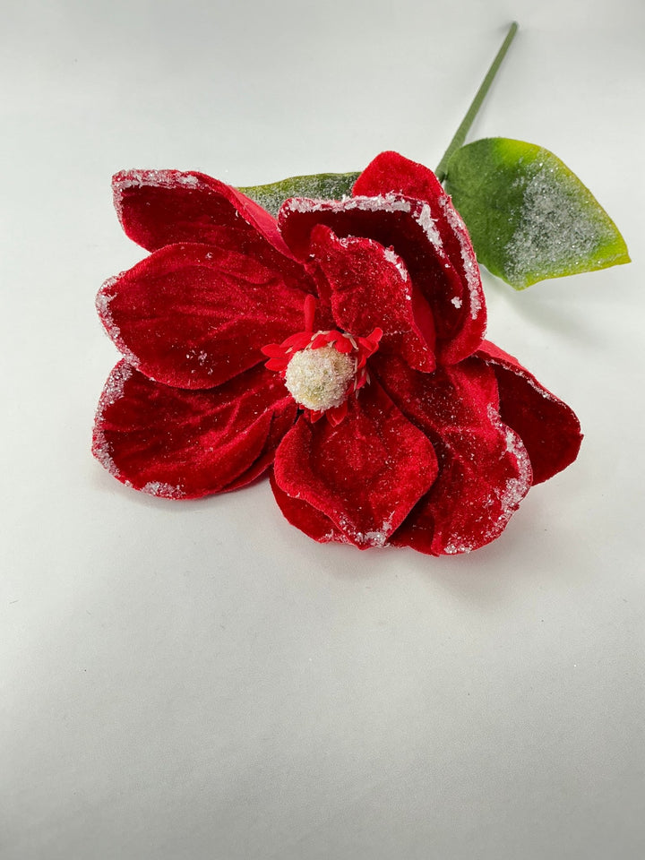 Snow edge, red velvet magnolia stem - Greenery MarketMTX74463 RED