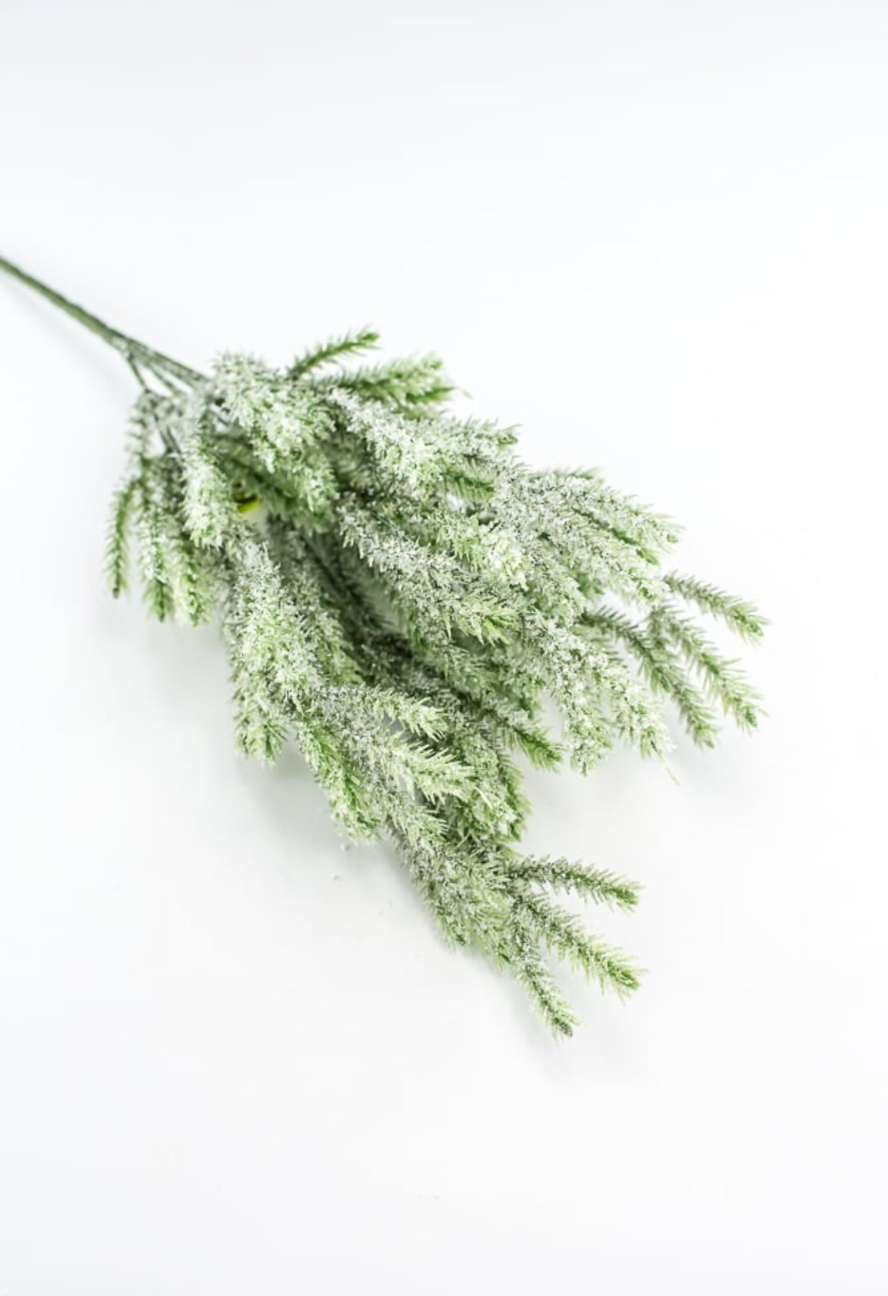 Snow Fir Bush - Greenery Market