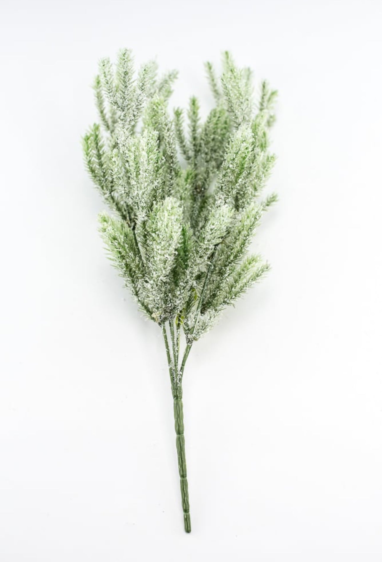 Snow Fir Bush - Greenery Market