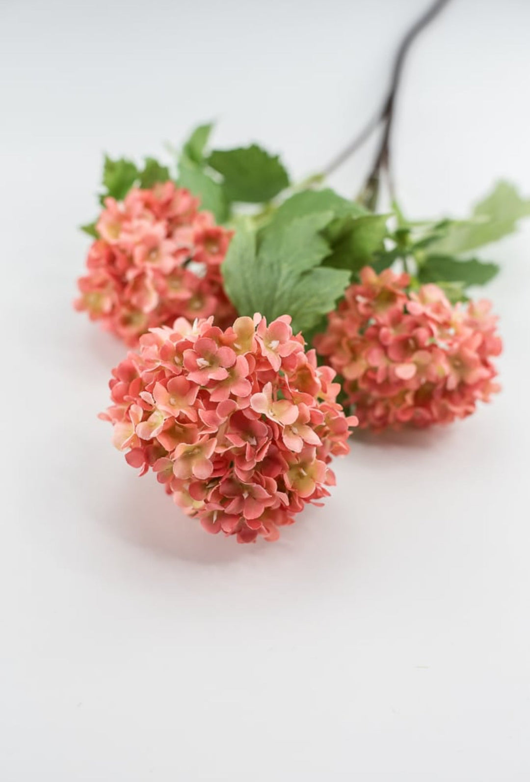 Snowball hydrangea spray - coral - Greenery Market2255078CL