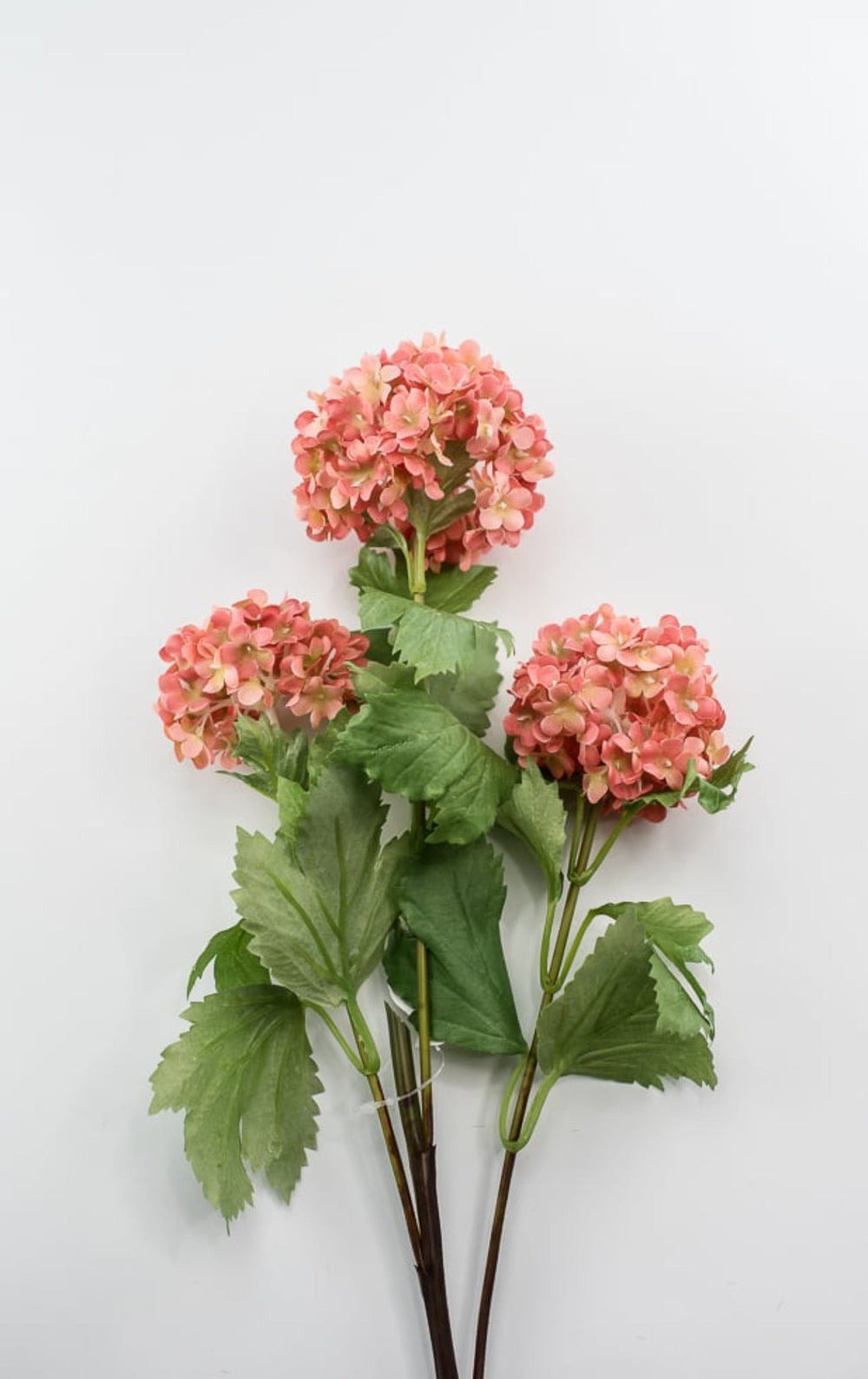 Snowball hydrangea spray - coral - Greenery Market2255078CL