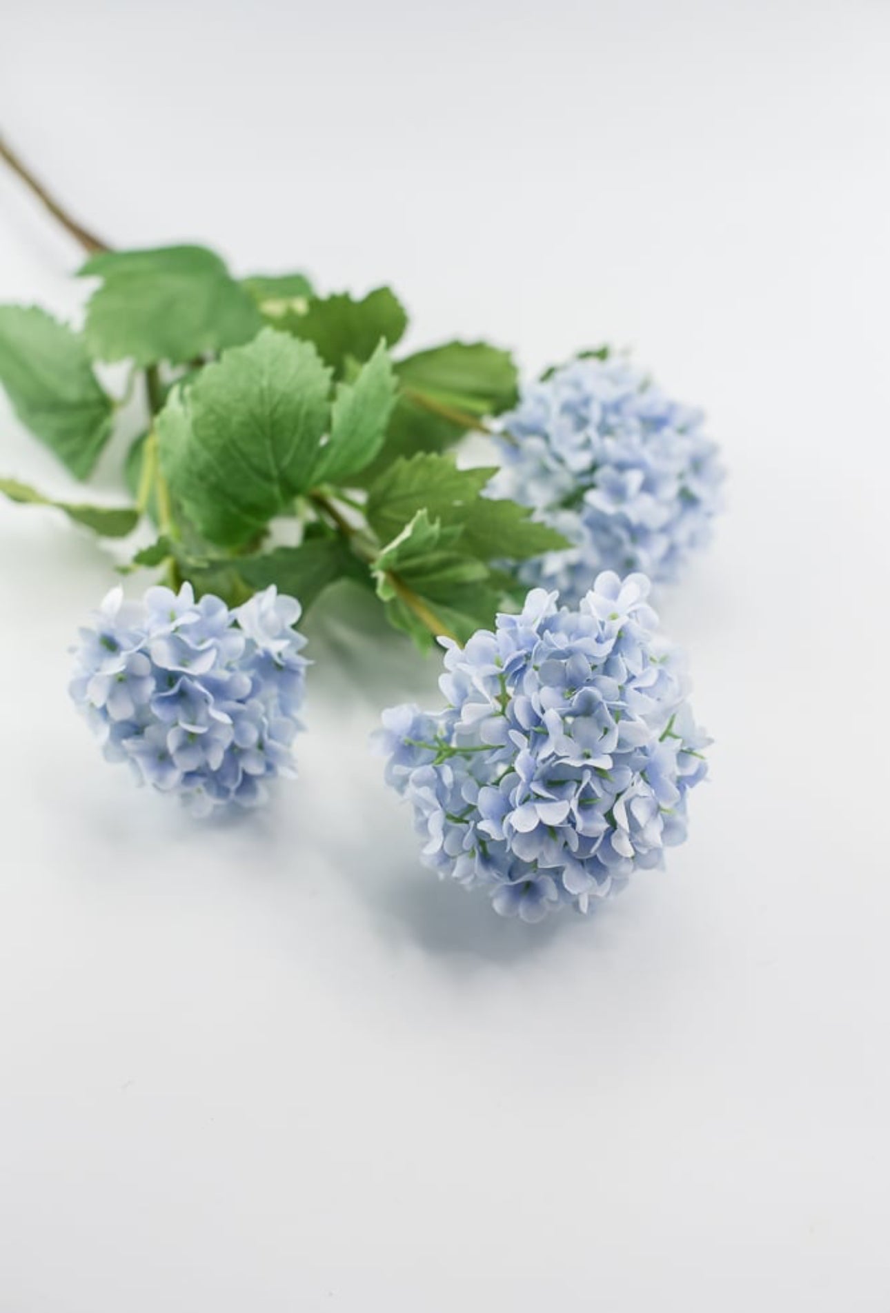 Snowball hydrangea spray - light blue - Greenery Market2255078LB
