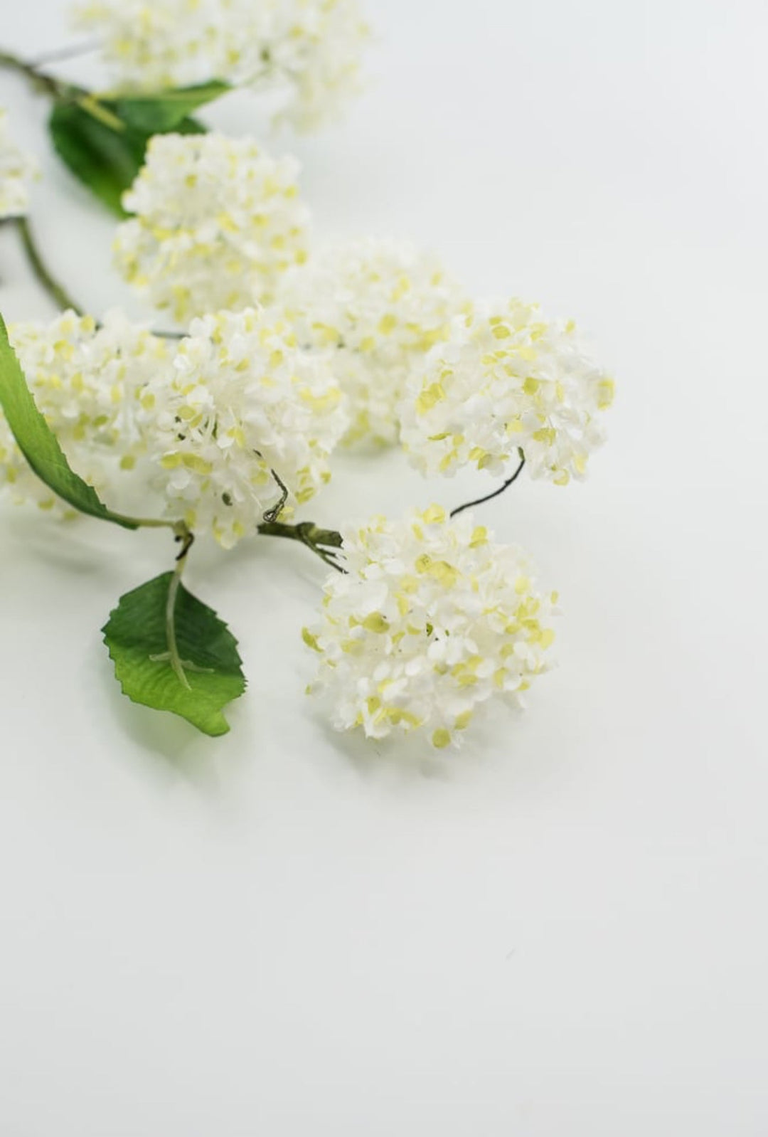 Snowball hydrangea spray - white - Greenery Market2268-w