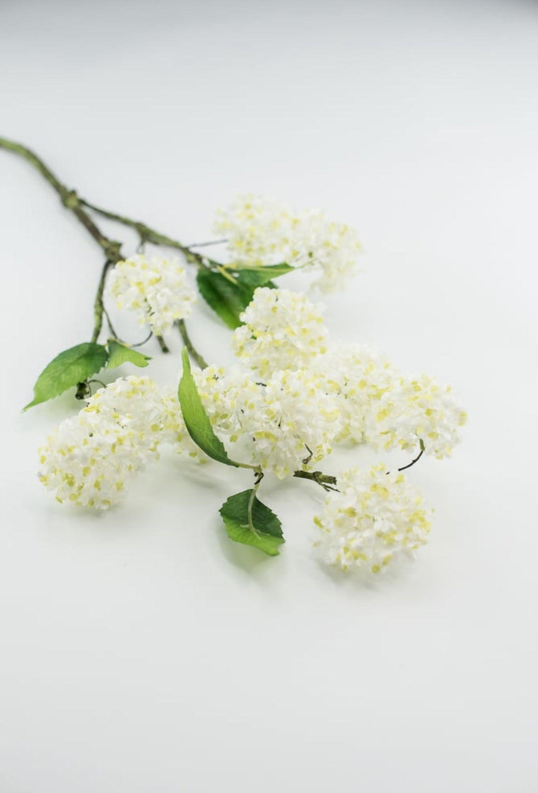 Snowball hydrangea spray - white - Greenery Market2268-w